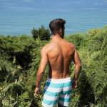 Ricardo Alvez Profile Picture
