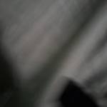 Jorge Ferreira Profile Picture