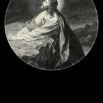 rafael muniz Profile Picture